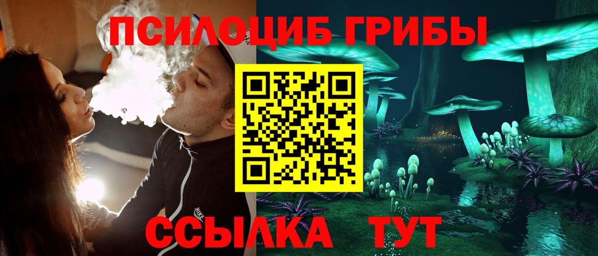 Псилоцибиновые грибы Psilocybe  Вход с VPN  Благодарный  Псилоцибиновые грибы Cubensis 