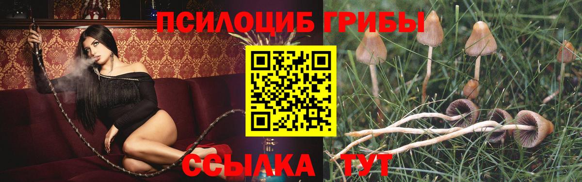 Галлюциногенные грибы MAGIC MUSHROOMS Благодарный